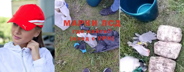 прущие грибы Аркадак