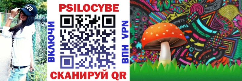 Псилоцибиновые грибы MAGIC MUSHROOMS  darknet какой сайт  Цимлянск  OMG вход 